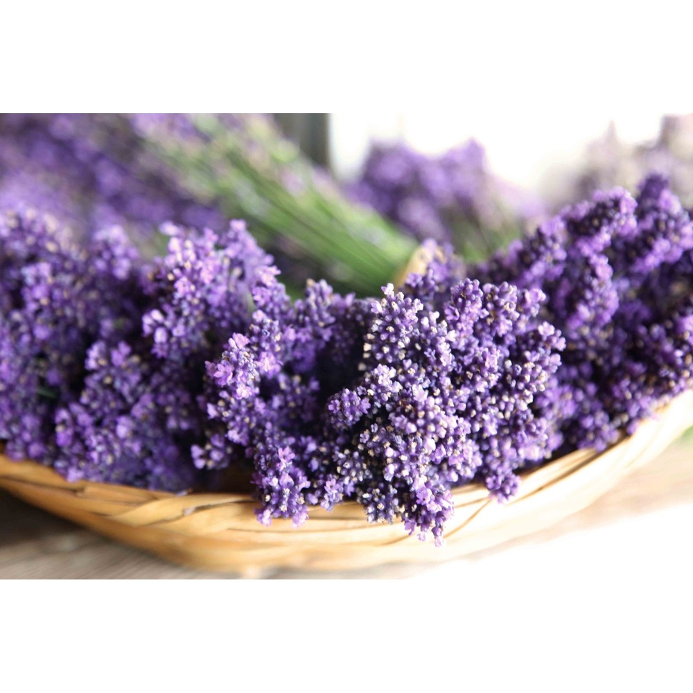 Dried Lavender Bowl Art Wall Print – Botanical Dreamy Home Decor Size 11x14